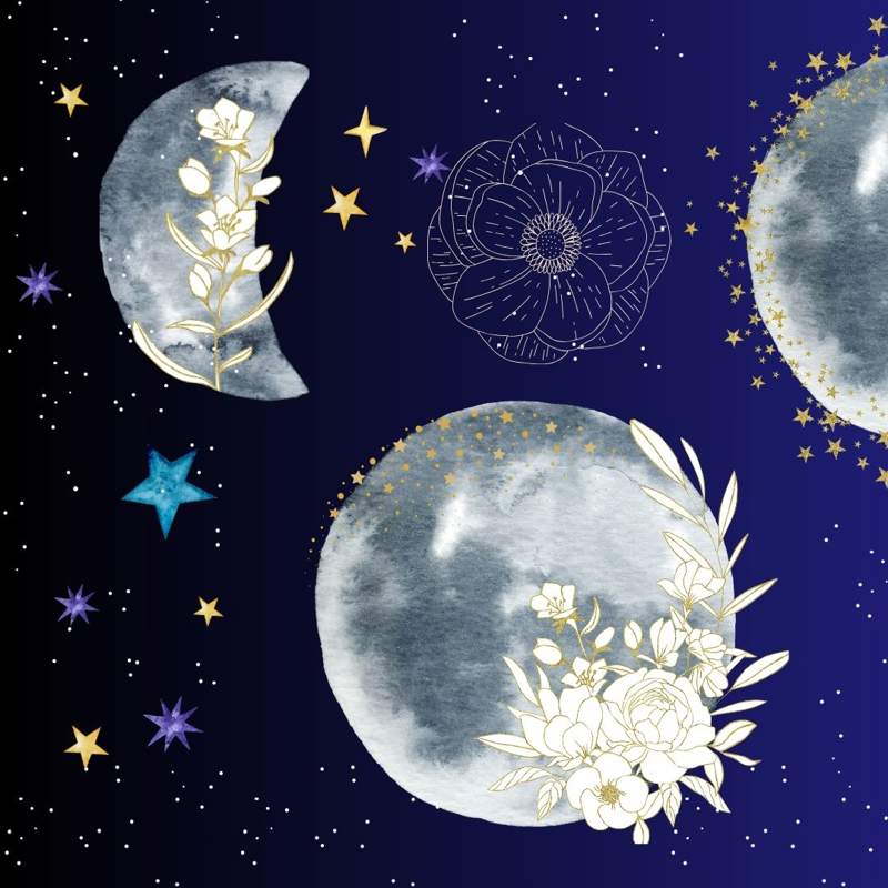 Fases de la luna
