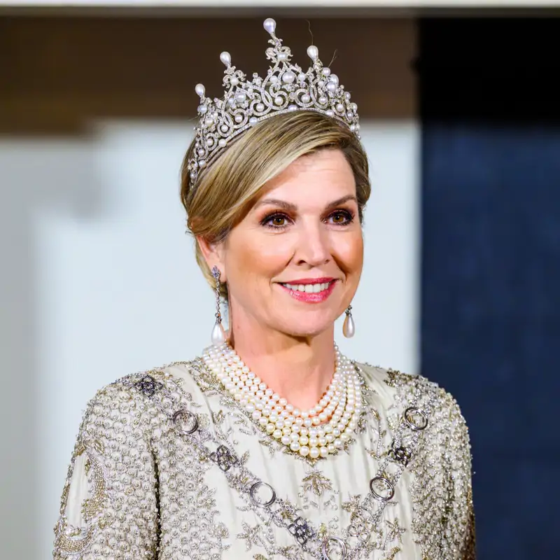 Josine Droogendijk, experta en Casa Real, alerta sobre Máxima de Holanda: "Su influencia es grande"